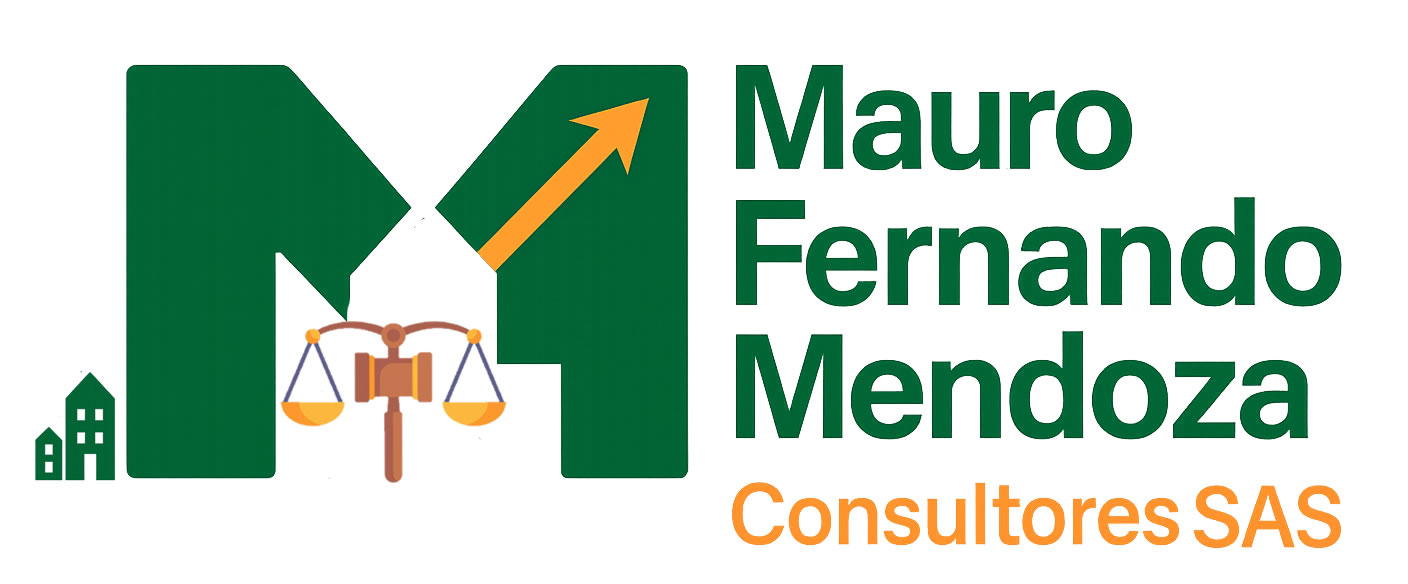 MFM Consultores